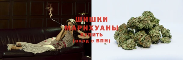 трава Арсеньев