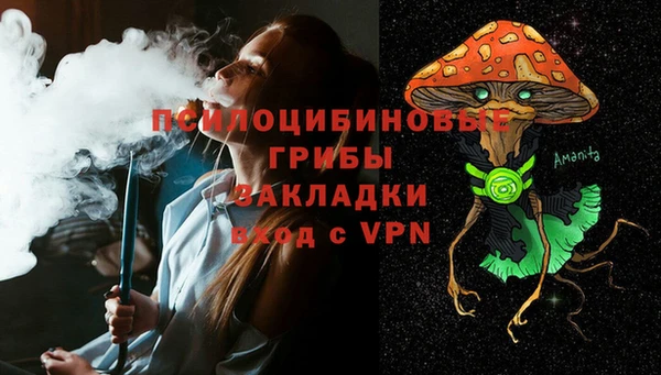 трава Арсеньев