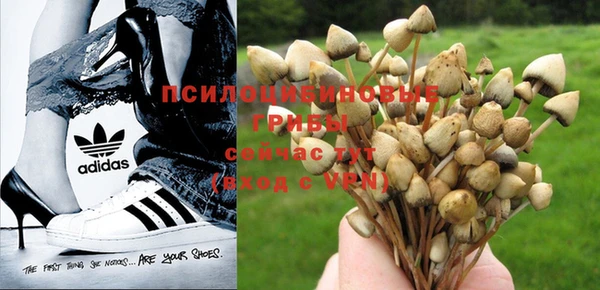 соль курить ск Балахна