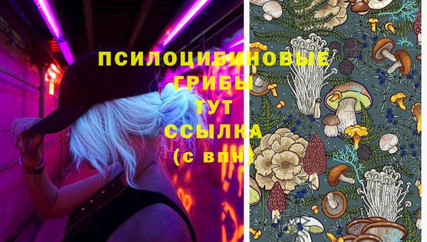 таблы Аркадак