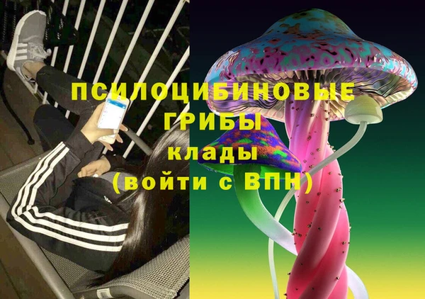 круглые Армянск