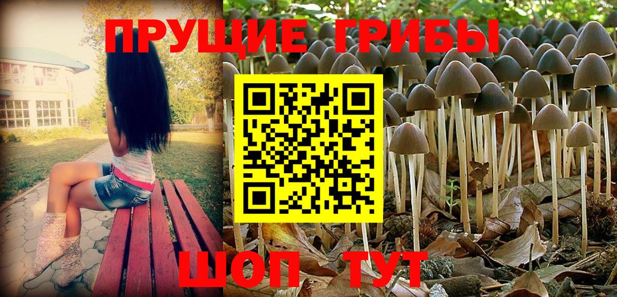 Лобня  Галлюциногенные грибы Cubensis  Вход с VPN 